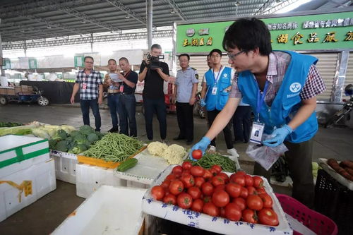 人大代表政協(xié)委員現(xiàn)場(chǎng)見(jiàn)證，食用農(nóng)產(chǎn)品抽檢合格率百分百的背后