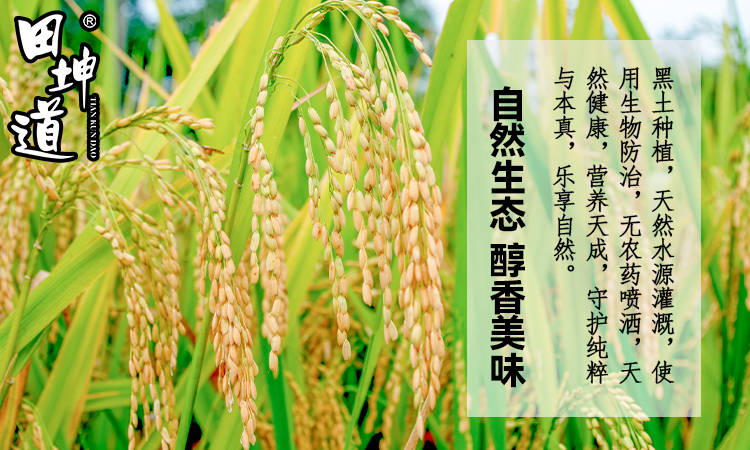 田坤道 深耕食用農(nóng)產(chǎn)品研發(fā)，于平凡中鑄就非凡財富