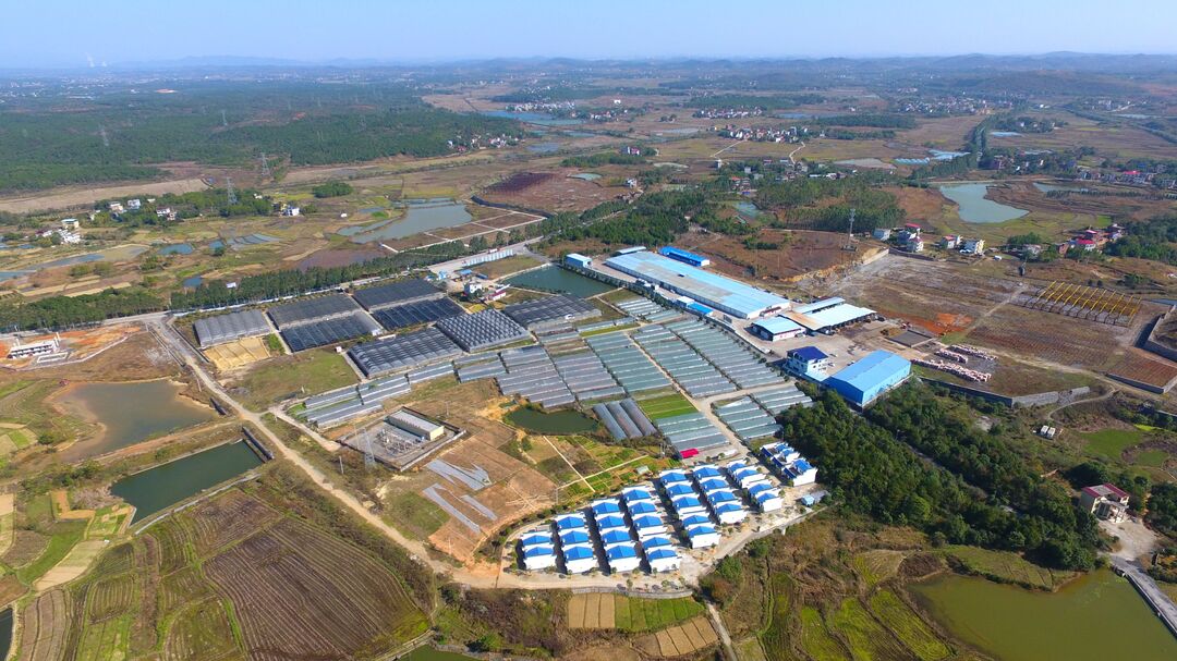 東安 立足特色資源，以科技研發(fā)驅(qū)動現(xiàn)代農(nóng)業(yè)與食用農(nóng)產(chǎn)品產(chǎn)業(yè)高質(zhì)量發(fā)展