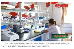 市農(nóng)業(yè)農(nóng)村局多措并舉 助力文明城市創(chuàng)建 保障食用農(nóng)產(chǎn)品質(zhì)量安全與充足供應